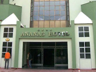 Hotel Ananas