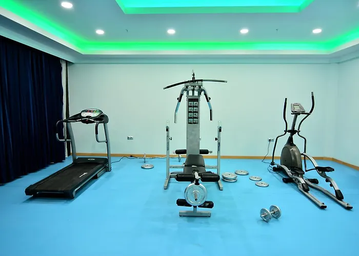 מלון Ananas אלאניה