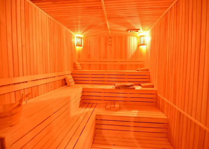 מלון Ananas אלאניה