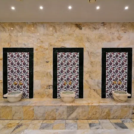 Ananas Hotel 4*